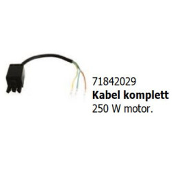 Cable complete 250 W motor...
